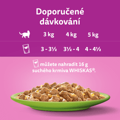Whiskas kapsičky výběrové menu v želé pro dospělé kočky 40x85 g