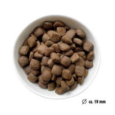 Eat Small Hmyzí granule Active Maxi 10 kg