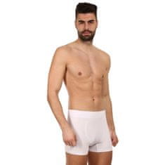 Gino Pánské boxerky bezešvé bambusové bílé (54005) - velikost L