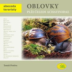 Robimaus Oblovky plži čeledi achatinidae - Abeceda teraristy