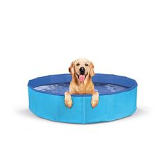 RECORD Bazén pro malé psy