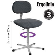Ergolinia Pracovní židle ERGOLINIA 10002