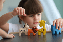 Plan Toys Set - Divoká zvířata