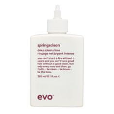 EVO+ Hloubkově čisticí šampon pro kudrnaté a vlnité vlasy Springsclean (Deep Clean Rinse) 300 ml