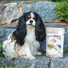 Akinu Pillows polštářky s moučným červem a cibulí pro psy 80g