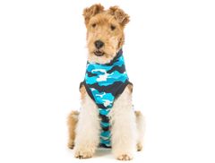 Suitical Pooperační ochranné oblečení pro psa modré 22 - 35cm