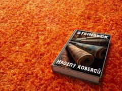monoCarpet Kusový koberec Efor Shaggy 3419 Orange 80x150