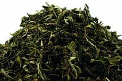 Čajová zahrada China Pai Mu Tan - bílý čaj, Varianta: bílý čaj 30g