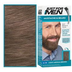 Just For Men M30 – odličovač vlasů pro muže, Okamžitá redukce šedin Přirozený mladistvý vzhled, 28g
