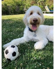 Lanco Pets - Hračka pro psy - Fotbalový míč midi