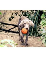 Lanco Pets - Hračka pro psy - Basketbalový míč