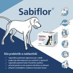 Sabio Vet Sabiflor 21 sáčků Imunita, zažívání, stres