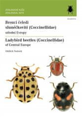 Academia Brouci čeledi slunéčkovití (Coccinellidae) střední Evropy / Ladybird beetles (Coccinellidae) of Central Europe