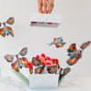 Dárek nebo Dekorace - Létající Motýli do Dárkové krabičky, Dárkové balení z Motýli (5ks) | FLUTTIES