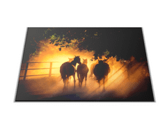 Glasdekor Skleněné prkénko silueta koní v západu slunce - Prkénko: 40x30cm