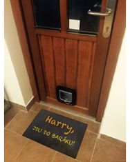 Rohožka Harry 40x60 cm 40x60