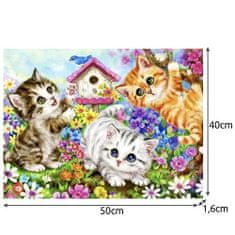 Maaleo 22781 Malování podle čísel - Kočky 40 x 50 cm