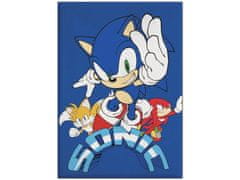 Aymax Modrá dětská deka Ježek Sonic