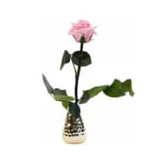 IDARY Stabilizovaná růže se stonkem v dárkové krabičce 30cm - světle růžová