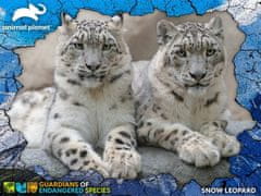 Prime 3D Puzzle Animal planet: Ohrožené druhy - Sněžní leopardi 3D 100 dílků