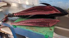 Adelfio Conserve Bůček červeného tuňáka v olivovém oleji, 200 g - TOP ITALIAN FOOD 2024 Gambero Rosso