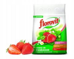 Florovit Hnojivo pro jahody a ovocné keře 1 kg granulátu