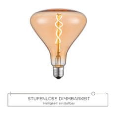 PAUL NEUHAUS LEUCHTEN DIRECT LED Filament, dekorativní žárovka, 6W E27 3000K DIM 08453 LD 08453