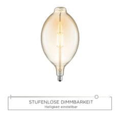 PAUL NEUHAUS LEUCHTEN DIRECT LED Filament, dekorativní žárovka, 4W E27 3000K DIM 08452 LD 08452