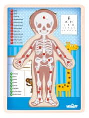 Woody Puzzle Lidské tělo - Kluk SK