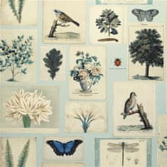 JOHN DERIAN Tapeta FLORA AND FAUNA CLOUD BLUE, kolekce PICTURE BOOK PAPERS