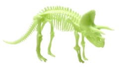 Glow Dinos 3D kostra Triceratops