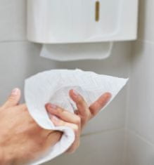 Papernet skládané papírové ručníky DissolveTech 2-vrstvá celulóza 3150 ks