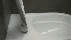 samostatné WC sedátko PUR s krytkou