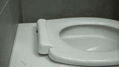 samostatné WC sedátko PUR s krytkou