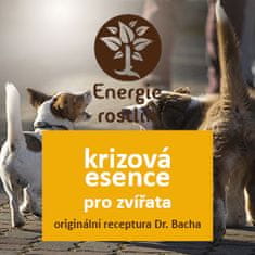 Energie rostlin Krizová esence pro psy a kočky (20ml) – Originál směs Dr. Bacha – Bachovy esence