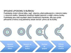 Nupreme Liposomal Multivitamin 30 kapslí 