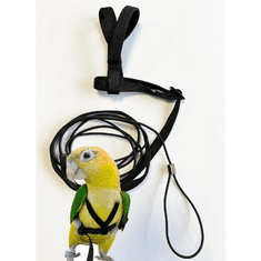 TERRA INTERNATIONAL Kšandy pro papoušky XXS-XL (vyrobené v EU), S