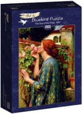 Blue Bird Puzzle Duše růže