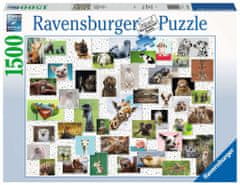 Ravensburger Puzzle Vtipná zvířata 1500 dílků