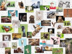 Ravensburger Puzzle Vtipná zvířata 1500 dílků