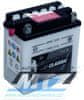 Dynavolt Baterie (akumulátor motocyklový) YB3L-A (12V-3Ah) B-YB3LA