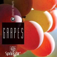 SpringAir náplň do osvěžovače, Grapes