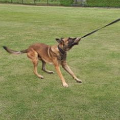 DINGO Hračka pro psa - přetahovadlo z falešné kožešiny s dlouhou rukojetí s amortizérem (bungee)