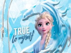 Kids Euroswan Dívčí 3D batoh Frozen II Elsa