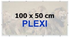 BFHM Euroclip 100x50cm (plexisklo)