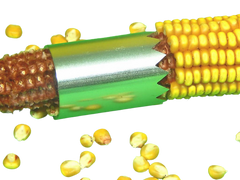 Kypřiče půdy Ruční loupač kukuřice