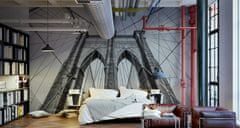 Muralo Fototapeta do ložnice Brooklynský most 3D 270x180cm