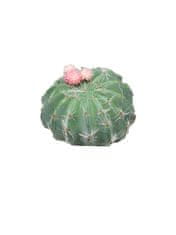 C7.cz Kaktus - Cactus Wessex s květinou růžový V8 cm