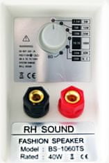 RHsound BS-1060TS/W, 100 V reproskříňka