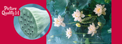 Cherry Pazzi Puzzle Bílý lotus 1000 dílků